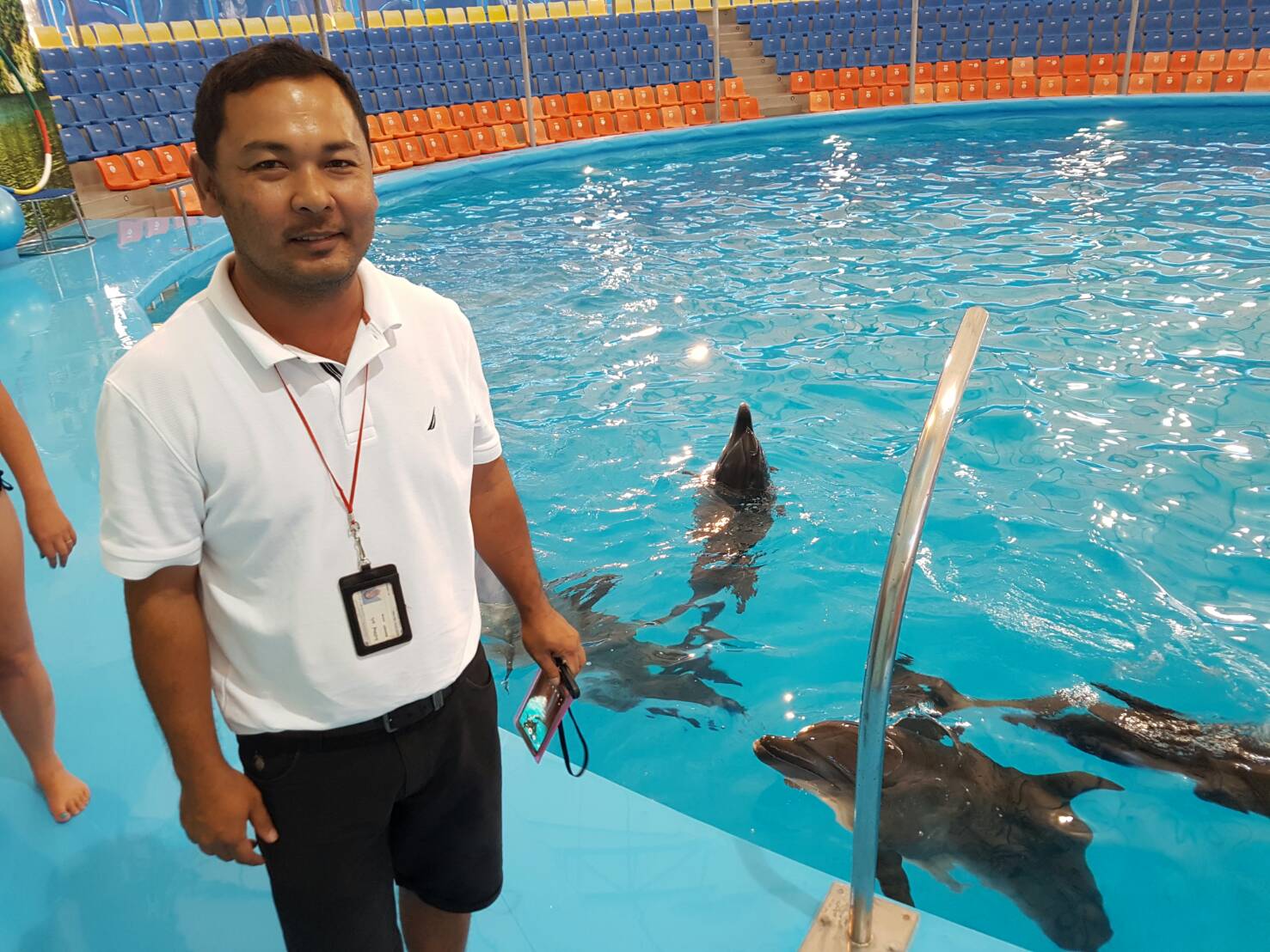 Phuket Dolphins & Sea Lion Shows